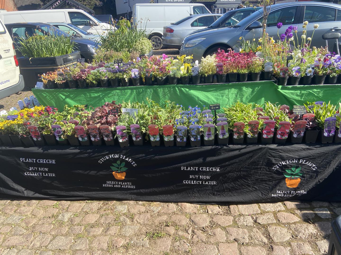 PoP Up Plant Stall at Market Rasen Market Place